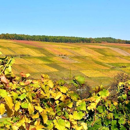 Ferienwohnungen Etzl Бад-Мергентхайм Экстерьер фото